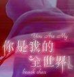 你是我的全世界破解版