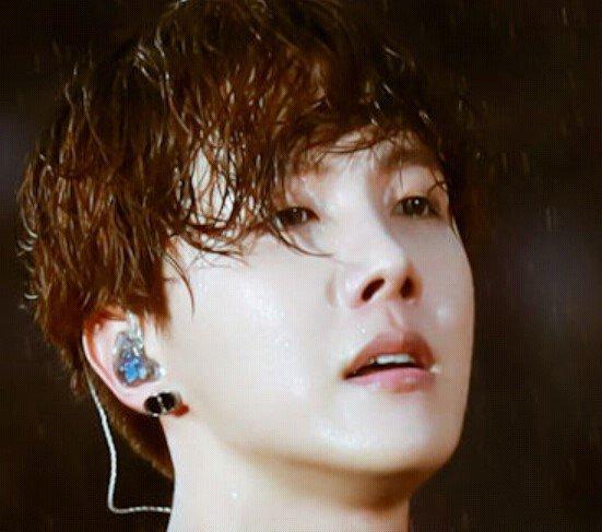 bts你情我不愿破解版