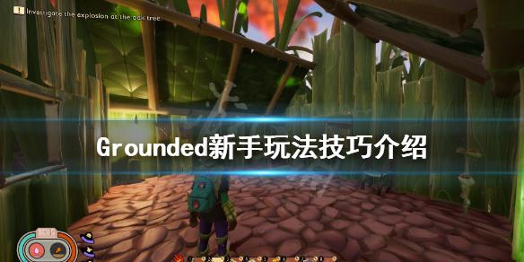 禁闭求生新手怎么玩？新手玩法介绍