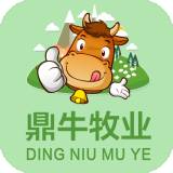 鼎牛牧业