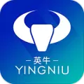 英牛