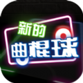 新的曲棍球