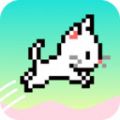 猫咪蜻蜓点水