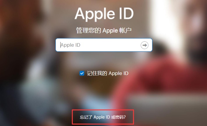 iphone12登陆不了appleid怎么办？iphone12登陆不了appleid的解决方法