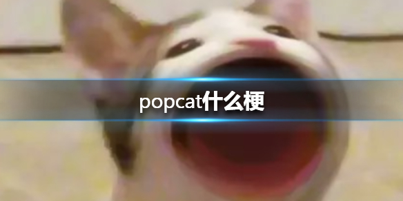 popcat什么梗 popcat梗出处介绍