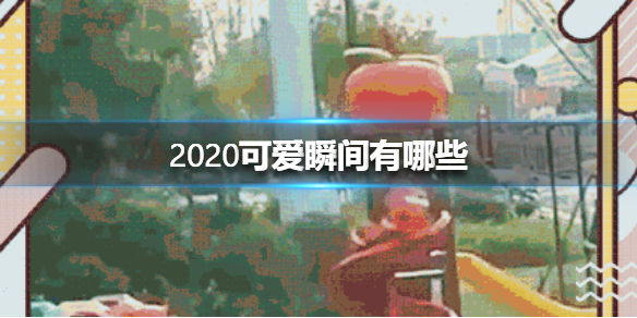 2020可爱瞬间有哪些 2020可爱瞬间一览