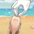 赶海王老五游戏