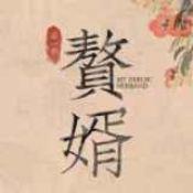 赘婿游戏下载