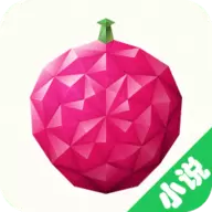 荔枝小说全文免阅读App