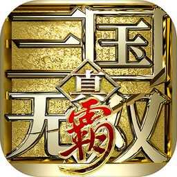 真三国无双霸国际服