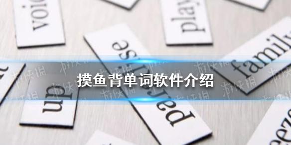 摸鱼背单词的软件是什么