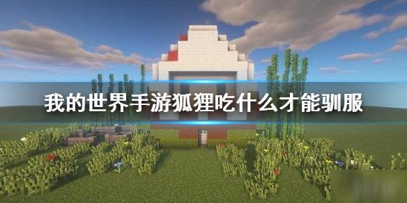 我的世界手游狐狸吃什么才能驯服 狐狸驯服方法介绍