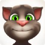 会说话的汤姆猫破解版