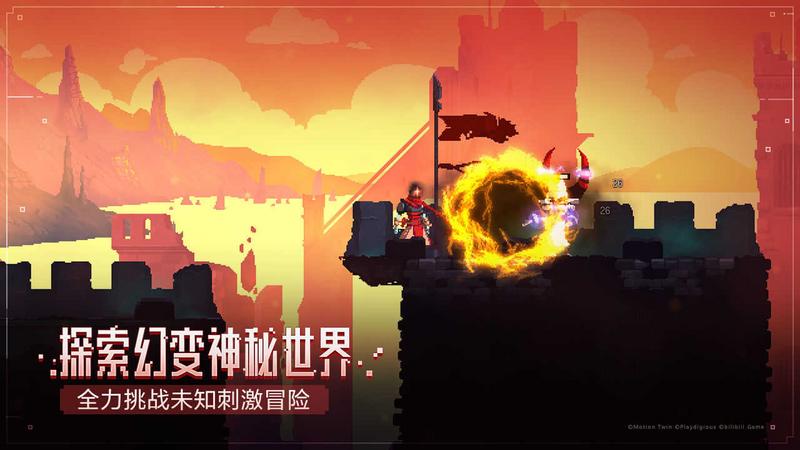 死亡细胞图2