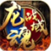 龙魂战域游戏