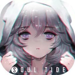 灵魂潮汐正式版
