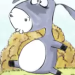 我不是蠢驴