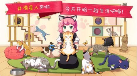 猫咖啡馆游戏大全
