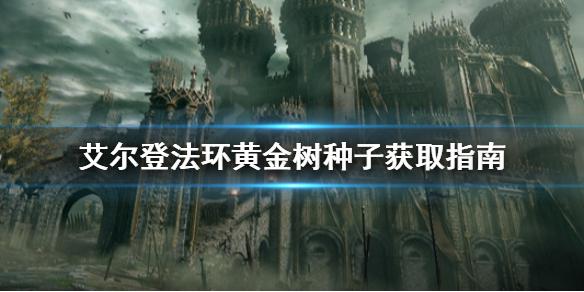 艾尔登法环黄金树种子去哪拿