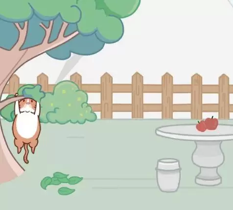 藏猫猫大作战第11关怎么过
