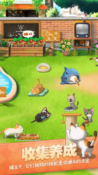 猫语咖啡,猫语咖啡新版图1