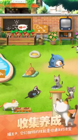 猫语咖啡图3