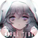 灵魂潮汐安卓版