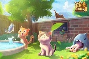 猫语咖啡图3
