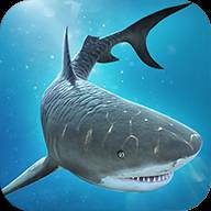 鲨鱼大战鳄鱼Shark vs Crocodile Fight