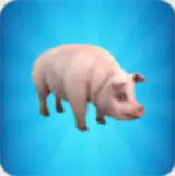 疯狂的猪模拟器