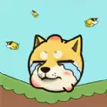烧脑猜猜猜
