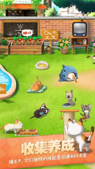 猫语咖啡图3
