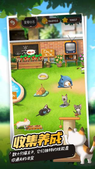 猫语咖啡图3