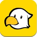 小鸡的追逐最新版