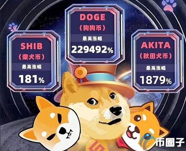 狗狗币柴犬币秋田犬币哪个更有投资价值？shib币柴犬币涨了多少倍了