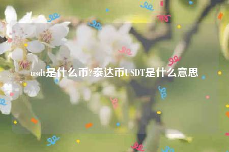 usdt是什么币? 泰达币USDT是什么意思
