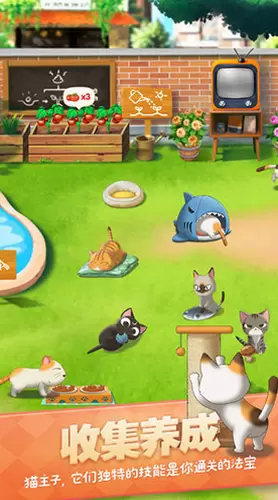 猫语咖啡图1