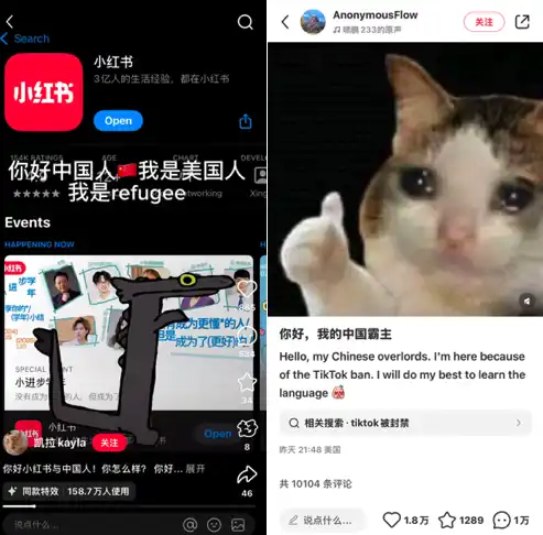 TikTok难民疯狂涌入小红书,如何从中找到Meme投资机会？