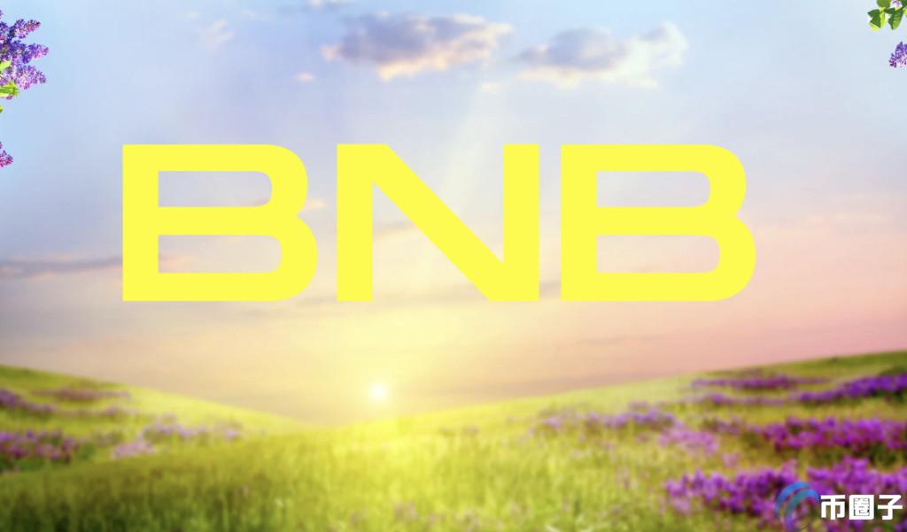 BIS发布加密货币交易所平台币报告!解释影响BNB价格的因素