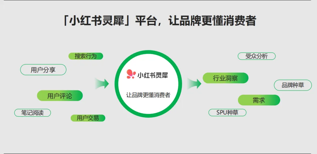 小红书灵犀全量开放中,科学营销时代真的要来了