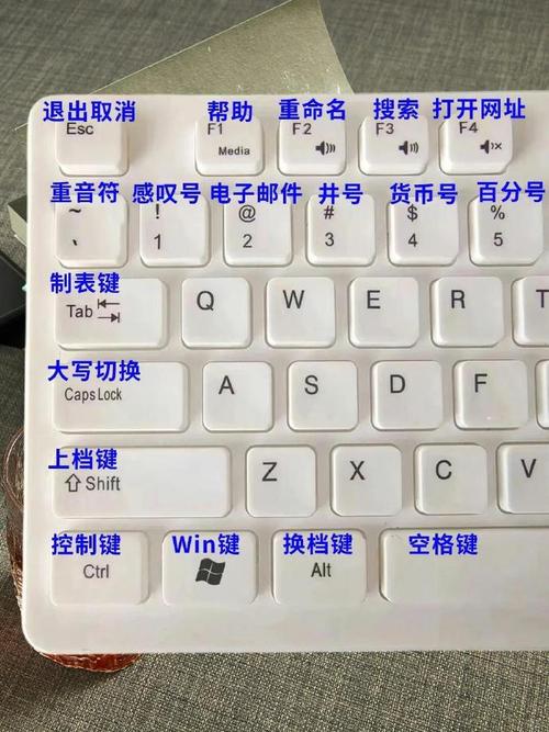 电脑禁止鼠标访问的办法,Win11 禁用鼠标设备方法