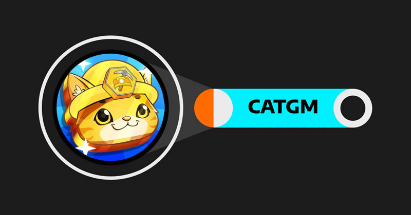 TON猫主题游戏CA**M币：深度解读