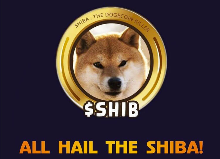 什么是柴犬币(SHIB)？如何购买、价格预测及初学者需要知道的一切