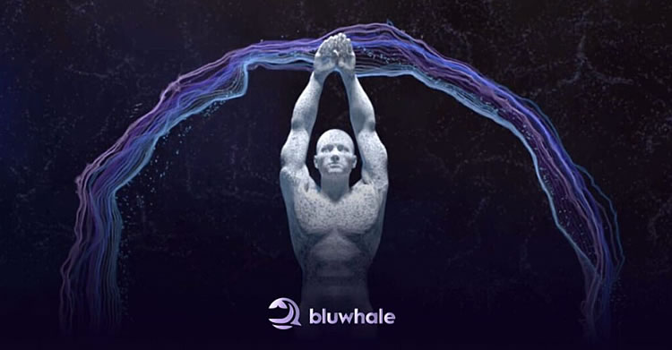 Bluwhale Network(BLUAI)币是什么？如何参与空投,未来潜力如何？