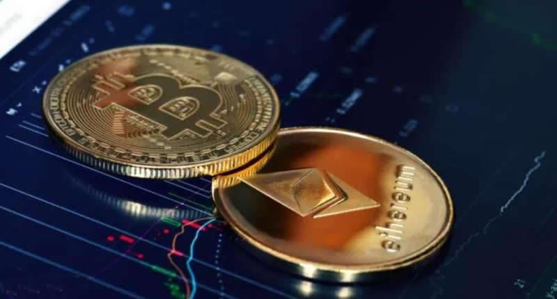 交易所的币可以提到任何wallet吗？如何从交易所提币到自己的wallet？