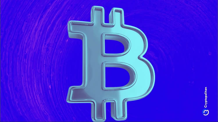 2025-2031年比特币价格预测:减半后BTC价格会突破20万美元吗？