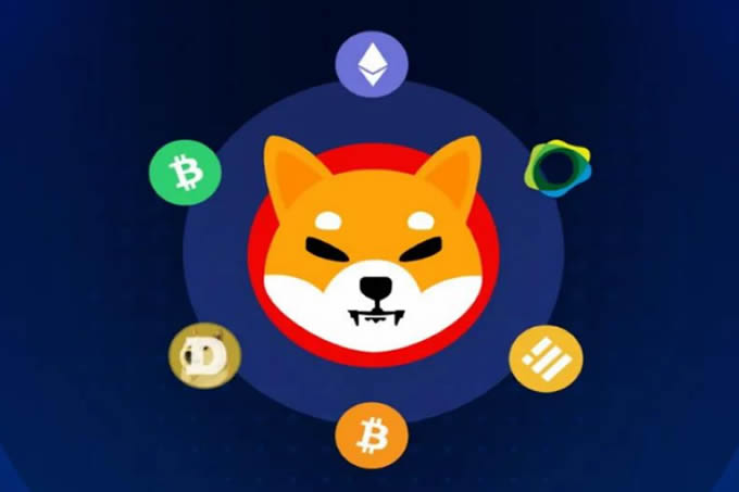 SHIB币有没有可能涨到1美元,SHIB有希望成万倍币吗？