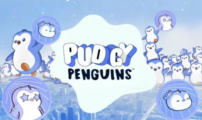 Pengu币合约地址多少？Pengu币合约地址解析
