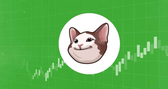 POPCAT币值得投资吗？POPCAT是什么币种？