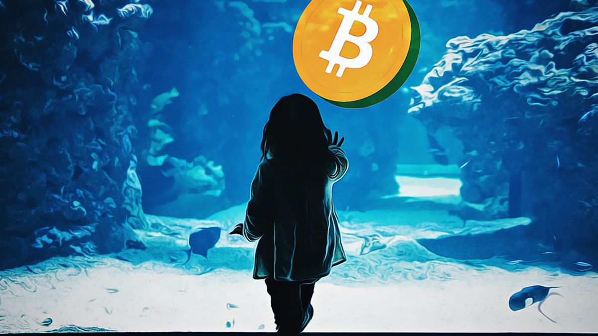 比特币价格即将超过10万美元?BTC的牛市会继续吗?